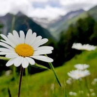 Giornata mondiale di preghiera per la cura del Creato